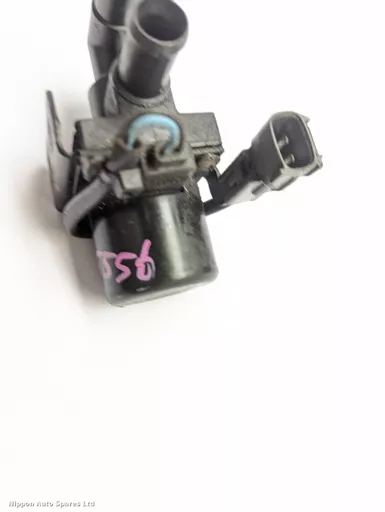 afe4162f-a3c0-4e91-8f51-b0b3980e8367.jpeg?