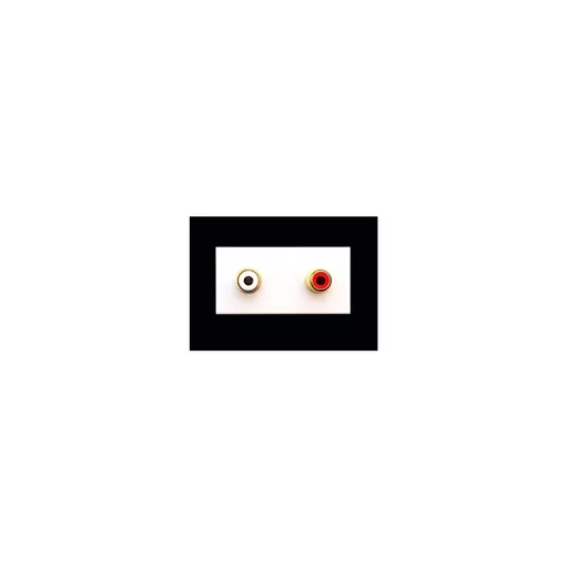 rsz_0_800_c10e4_white_twin_rca_euro_module.jpg?