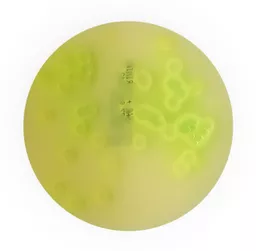 d096d0a07d377265cb61fae04c2f0e41.png?