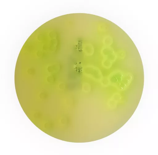 d096d0a07d377265cb61fae04c2f0e41.png?