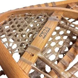 snow shoes 1.jpg
