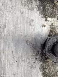 f067e4b3-e698-4d8a-b2f9-6c0635340369.jpeg?