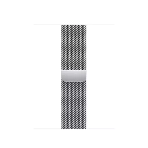 Apple ML753ZM/A Smart Wearable Accessories Band Silver Stainless steel