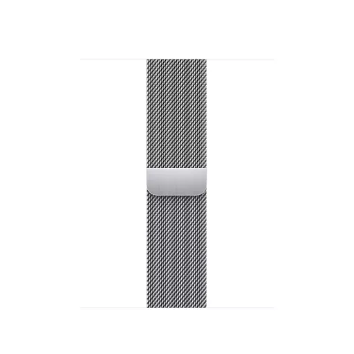 Apple ML753ZM/A Smart Wearable Accessories Band Silver Stainless steel