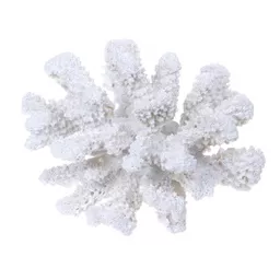 7698-Small Coral.jpg