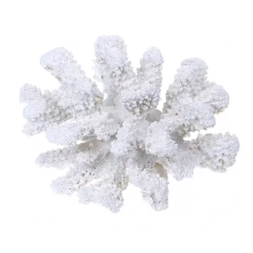 Small Resin Coral