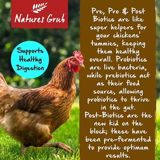 natures-grub-biotic-boost-6.jpg