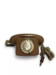 Brown phone 1.jpg