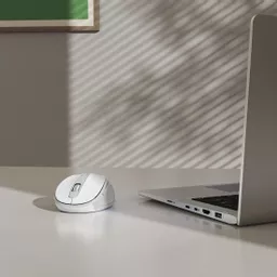 tpqci6taZ0mFQZkLSdEpmg.c-r.jpg?