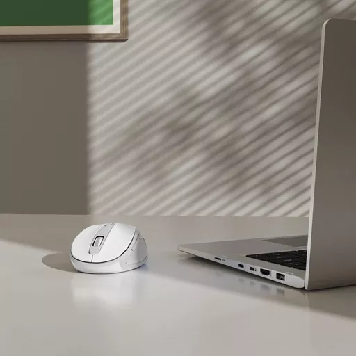 tpqci6taZ0mFQZkLSdEpmg.c-r.jpg?