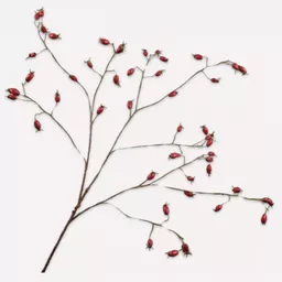 Screenshot 2026-01-28 at 10.42.42.png