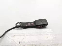 6defd6f4-1f22-434f-b93f-ac0c1bc11555.jpeg?