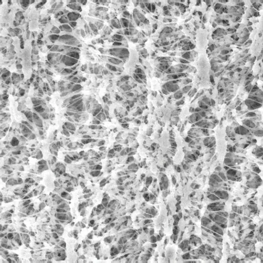 MilliporeSigma™ Omnipore™ Membrane Filters 47mm, 0.2 μm
