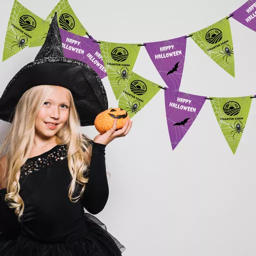 Halloween Personalised Bunting