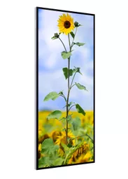 81T_portrait right facing.png