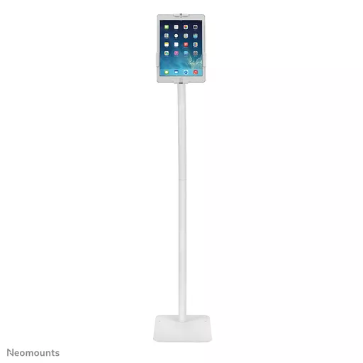 HTFk7v60LUawaKc6JbjFNA.c-r.jpg?