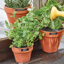 yveYyJyua0Cn7G2IFya5Vw.c-r.jpg?