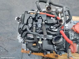 e4317fb4-8157-48e3-af3c-60ea43f144b5.jpeg?