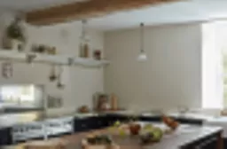 Donkey-Ride-Kitchen.webp