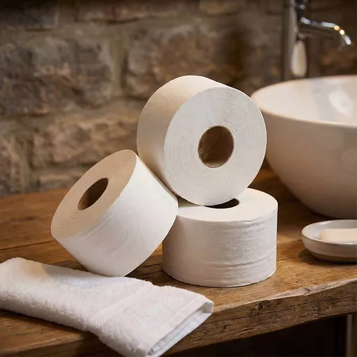 Mini Jumbo 2-Ply Toilet Roll – 200m, 60mm Core_0000s_0000_JAN000042.jpg