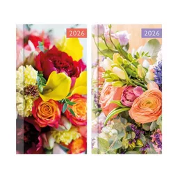 IT079833_1.jpg