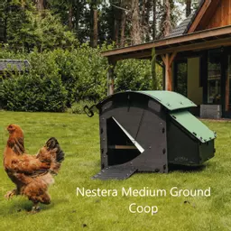 Nestera Medium Ground Coop a.jpg