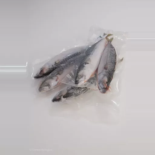Bony Fish (Mackerel) Frozen Pk5