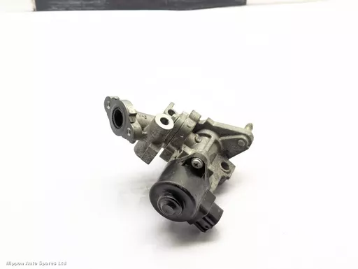 afd15bc0-796d-49a6-9301-ca6538a27ff6.jpeg?