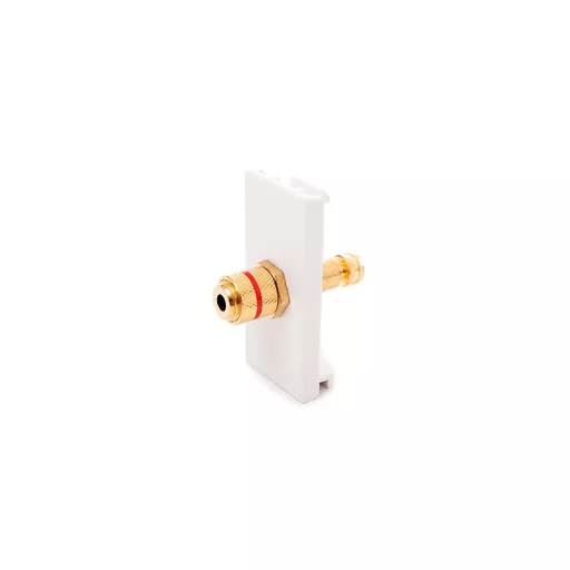 rsz_0_800_750ae_white_speaker_red_binding_post_euro_module.jpg?