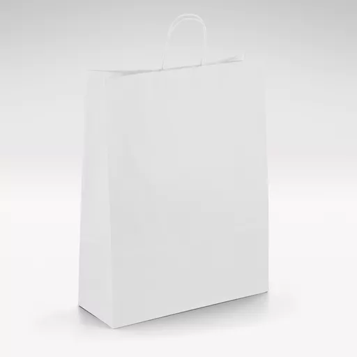 White-Kraft-Unprinted-Twist-Bag-Medium.jpg