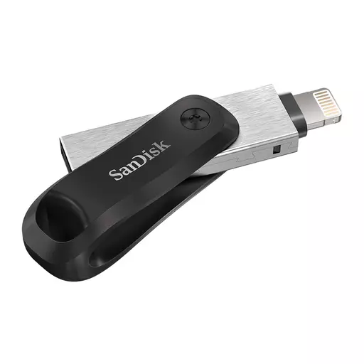 SanDisk SDIX60N-256G-GN6NE USB flash drive 256 GB 3.2 Gen 1 (3.1 Gen 1) Grey, Silver