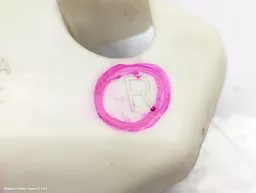 9000e061-f0cf-44f0-9175-6b771bf6e095.jpeg?