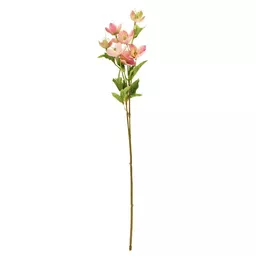 pink hellebore stem.jpg