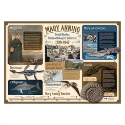 VB_132 Fossils Value Box (9).jpg