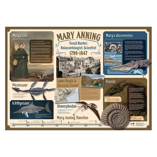 VB_132 Fossils Value Box (9).jpg