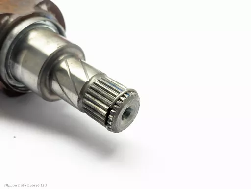 204ce585-b6f6-46ae-9ea6-6d62d5d43b73.jpeg?