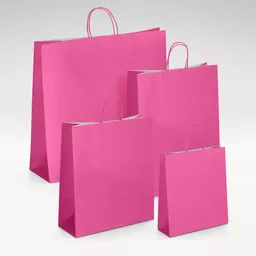 White-kraft-pink-twist-handles-bag-GROUP.jpg