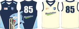 Reversible Cricket Vest (1).png