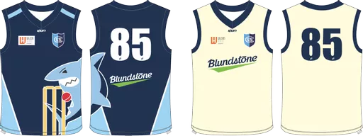 Reversible Cricket Vest (1).png