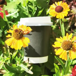 DOuble Wall Cups-07.jpg