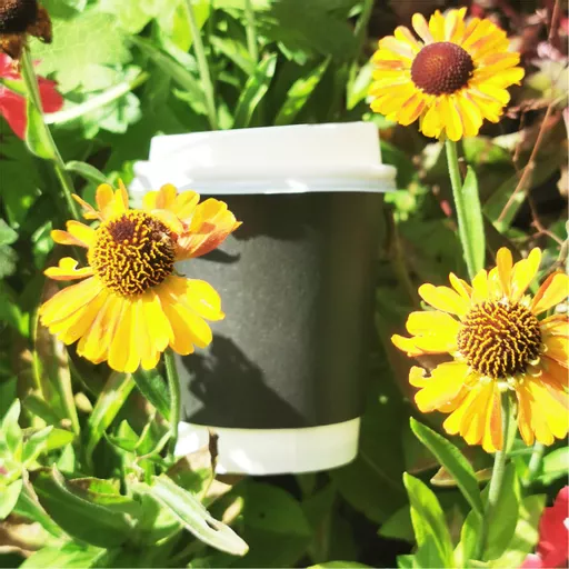 DOuble Wall Cups-07.jpg