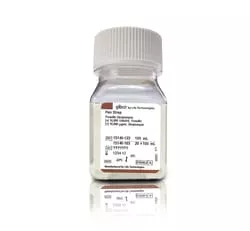 Penicillin-Streptomycin (10,000 U/mL), Gibco