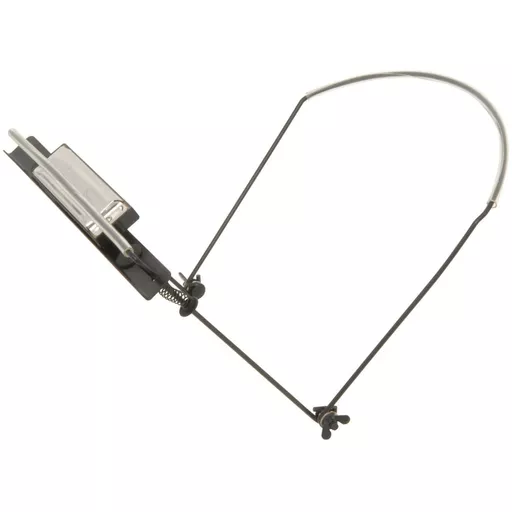 1717080662-98866200.jpg?