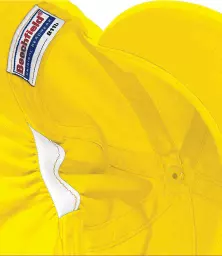 BB11B%20YEL%20DETAIL%202.jpg?