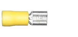 wt6-YELLOW.jpg