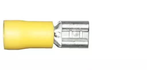wt6-YELLOW.jpg