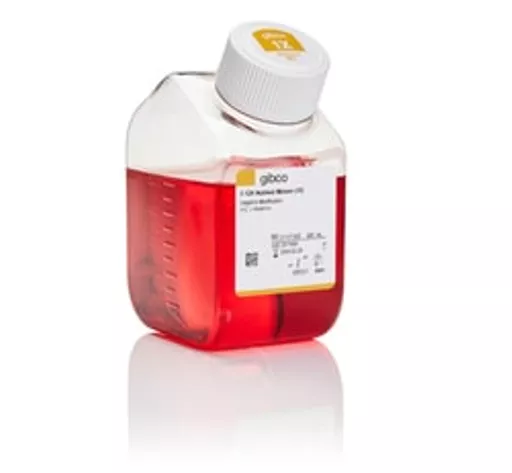 1770207288010b1f6cd1c74af5da7a4071ac418324.png?