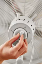 SFA16910WHTN_04.jpg?