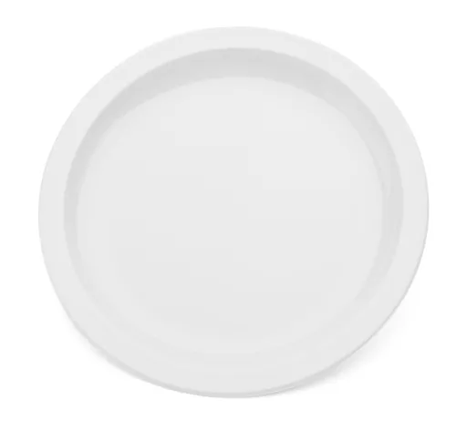 039WHI-Narrow-Rimmed-23cm-Plate-White.jpg?