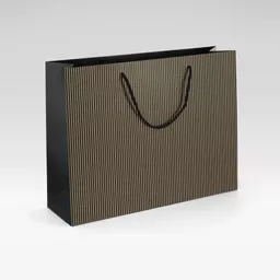 1104660---JJOT---Luxury-Carrier---White-kraft-black-and-gold-luxury-bag-striped.jpg